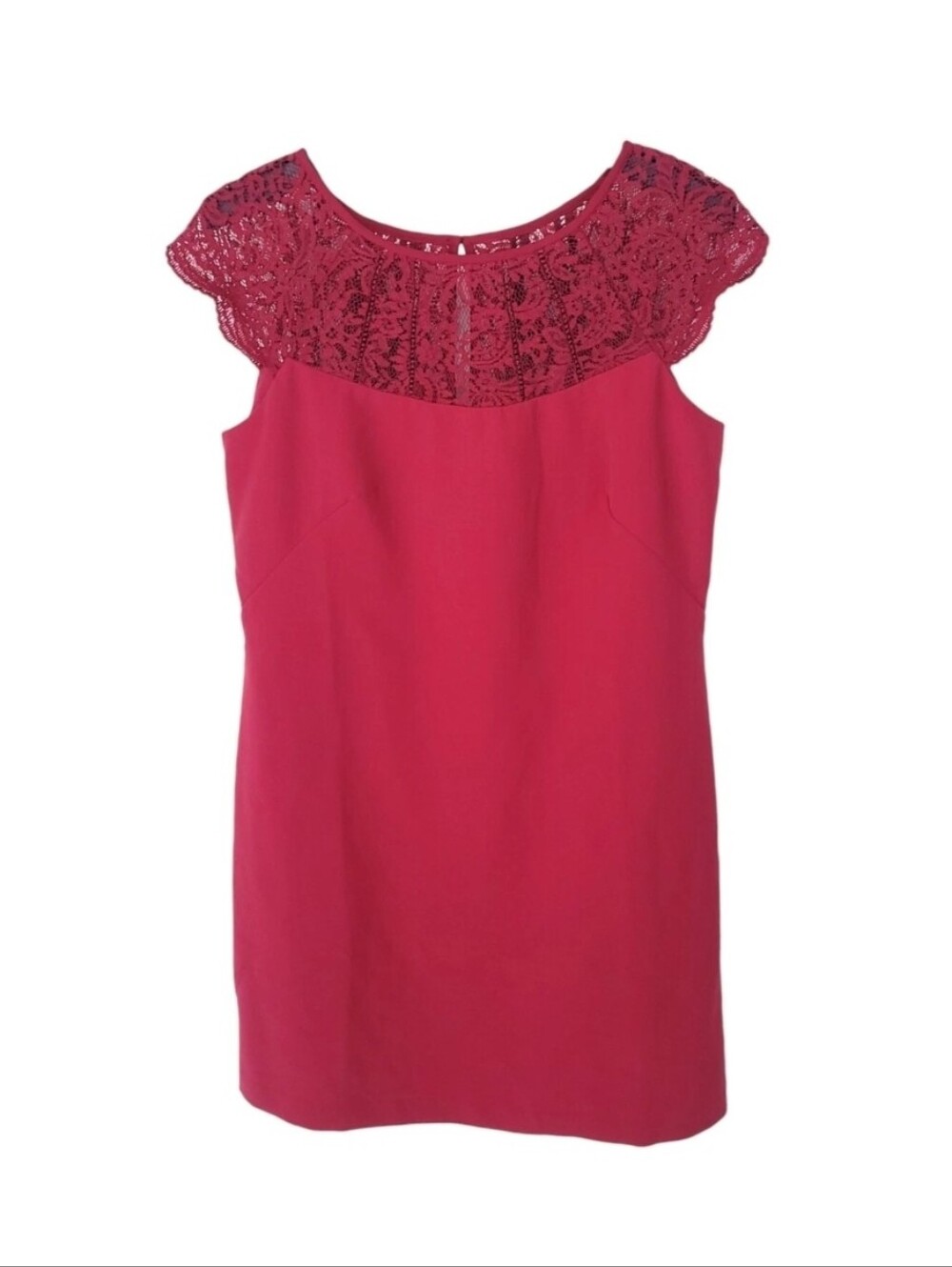 White House Black Market Dress Womens 10 Knee Short Sleeve Lace Shift Stretch